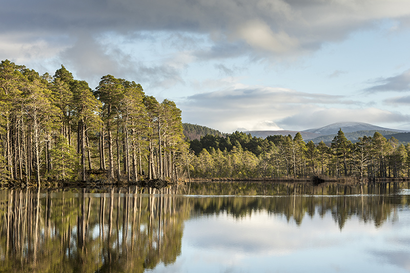 Loch Mallachie in the Cairngorms. Photo © Jan Holm | Shutterstock