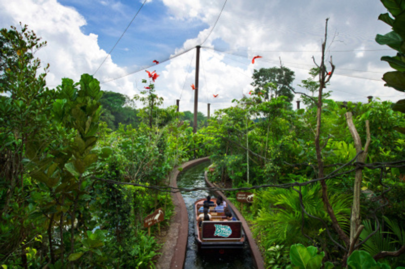 Amazon River Quest. Photo: Wildlife Reserves Singapore