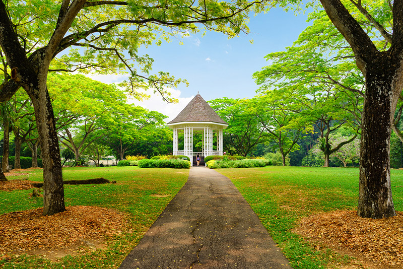 The Singapore Botanic Gardens. Photo © Lodimup | Shutterstock