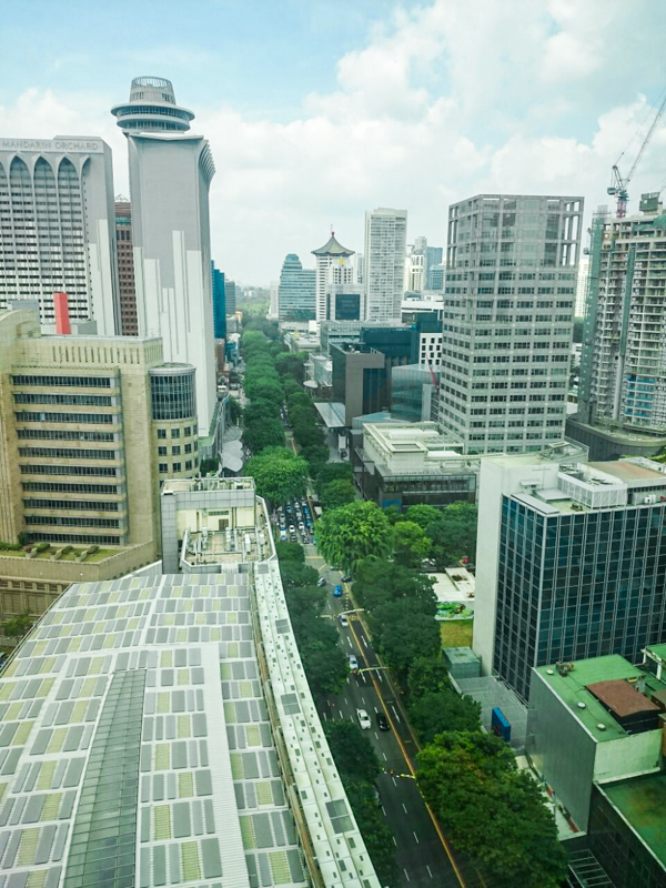 We got a bird's eye view of Orchard Road from our hotel room. 