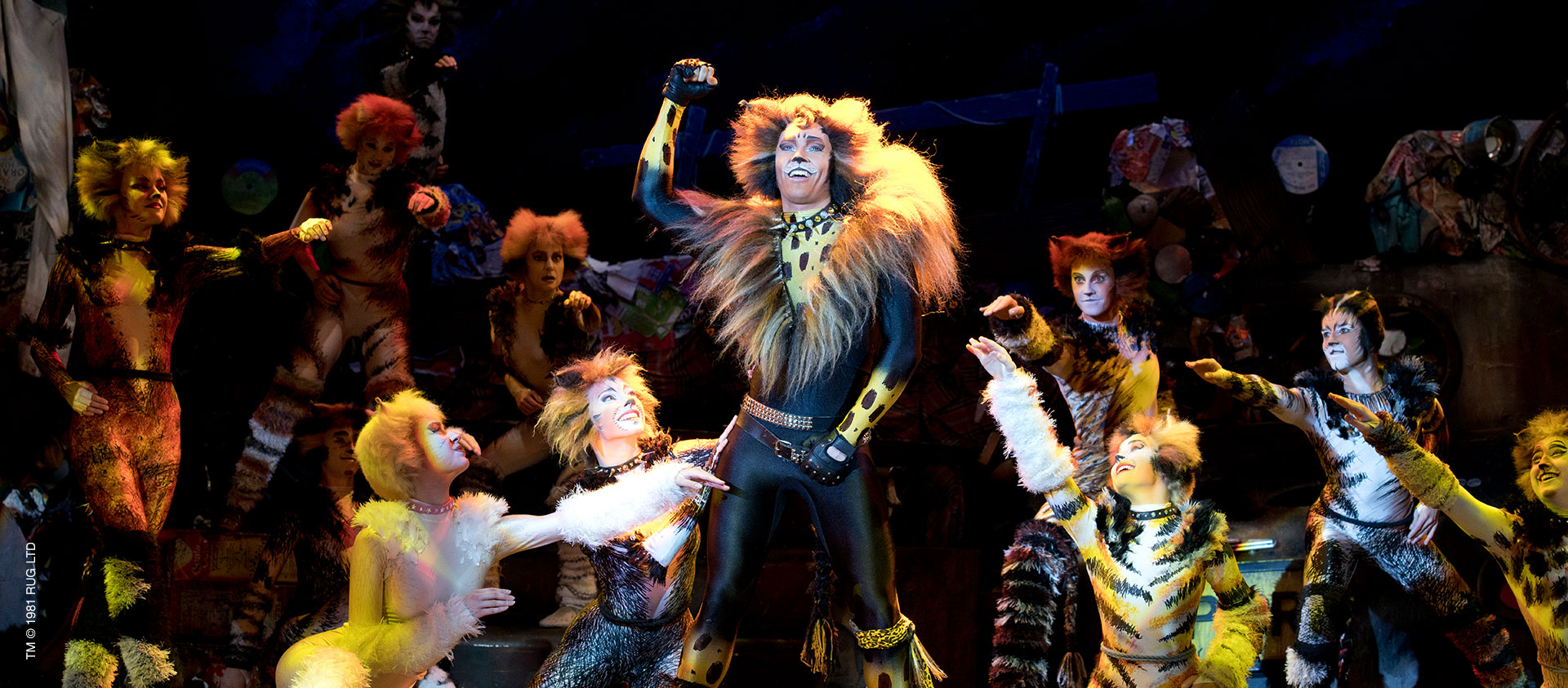 The Purrfect Musical Let The Memories Live Again With CATS Asia 361