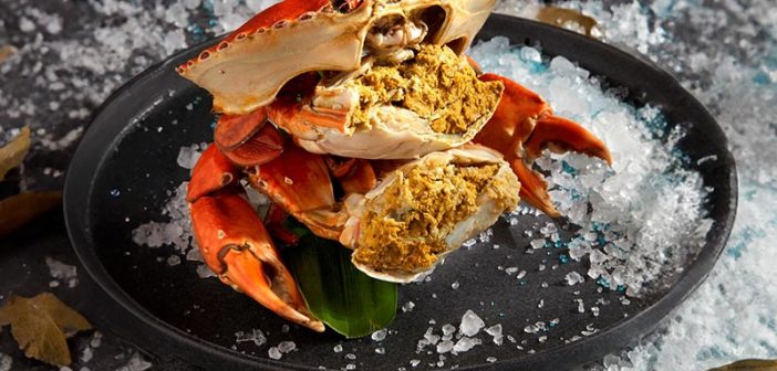 Yam’s Treasure: 15 Years of Culinary Craftsmanship, One Memorable Meal at a Time